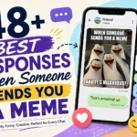 best responses when someone sends you a meme
