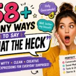 funny ways to say what the heck