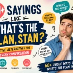 sayings like whats the plan stan