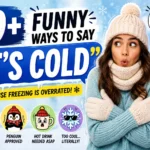 funny ways to say its cold