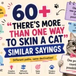 theres more than one way to skin a cat similar sayings