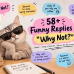 funny replies to why not